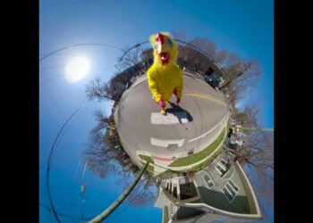 Why did the Chicken Cross the Crosswalk?