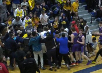 Emoni Bates gets into wild fracas in state playoff game