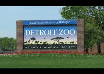 Arooooo, The Detroit Zoo Has A New Promotion!