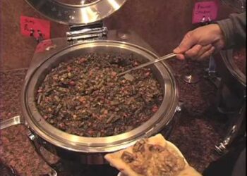 Indian Food Ann Arbor Michigan