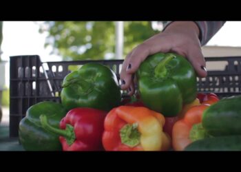 Eastern Market Detroit: The Food, The People, The Stories