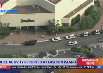 Chanel purses stolen from Fashion Island