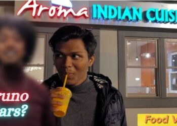 Met Bruno Mars Lookalike In Ann Arbor | Food Vlog | Aroma Indian Cuisine