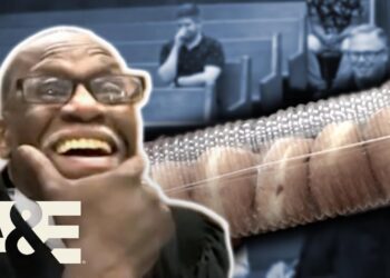 Donut Theft Case CRACKS UP the Court | Court Cam | A&E