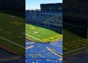 The Largest Stadium of USA#shorts