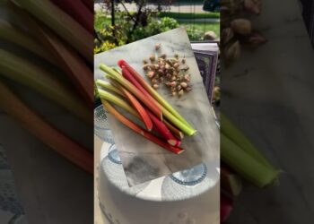 Enjoy a Taste of the Season in Ann Arbor!