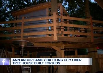 Ann Arbor family battling city over tree house