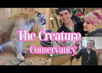 Visiting the Wild Life at  The Creature Conservancy in Ann Arbor Michigan