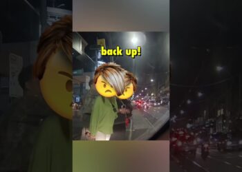 Angry Karen Refuses to Get off the Road