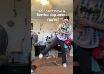 You have to be disabled in order to have a service dog
