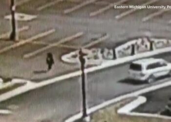 VIDEO: Goose terrorizes people on Eastern Michigan University's campus Tuesday