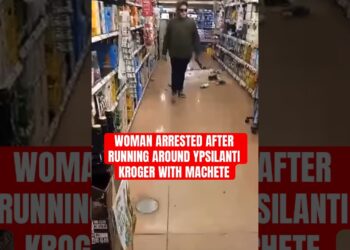 WOMAN ARRESTED AFTER RUNNING AROUND MICHIGAN KROGER WITH MACHETE