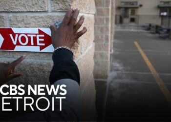 Divine 9 hosting voter registration events in Metro Detroit