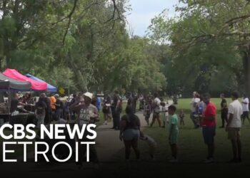 Detroit “Peacenics” hosted to encourage community safety