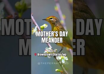 Mothers Day Events in Metro Detroit #shorts