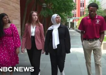 Gen Z voters in Michigan weigh in on the presidential race