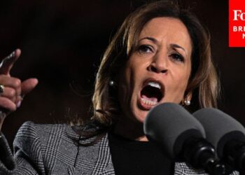 ‘When You Love Something, You Got To Fight For It’: Harris Makes Final Pitch To Michigan Voters