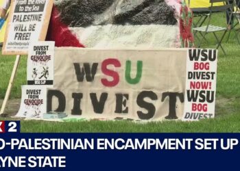 Pro-Palestinian encampment set up at Wayne State