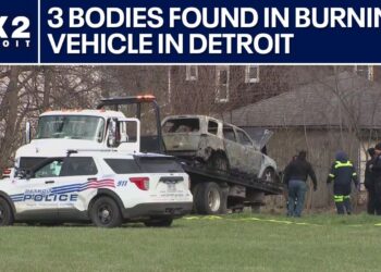 3 bodies found in burning vehicle in Detroit