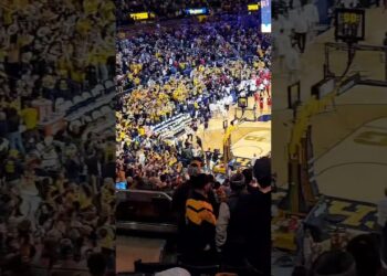 #shorts #Michigan #annarbor #Detroit #goblue #suscribe #like #comment #basketball #sports #action