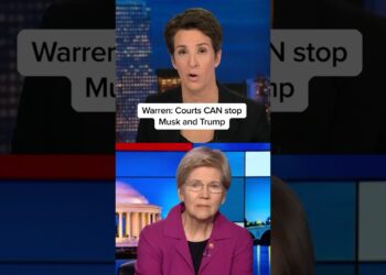 Warren: Courts CAN stop Musk and Trump