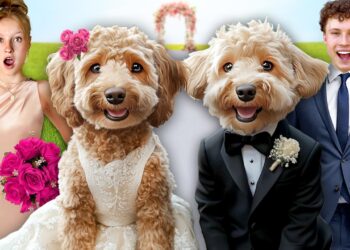 My DOG got MARRIED! In Real Life!