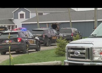 Young brother and sister dead, 15 hurt when car crashes into birthday party in Michigan