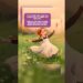 Anne Of Green Gables by Lucy Maud Montgomery, Chapter 22 #story #shorts #short