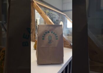 Beara Bakes in Ypsilanti, Michigan #shorts #Travel
