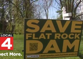 Potential removal of dam sparks concern in Wayne County