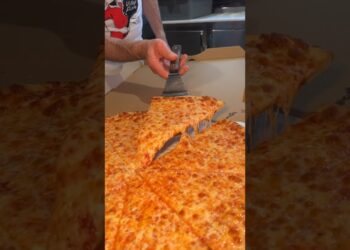 New York City Style Pizza always hits. Cheese Pizza from East Village Pizza NYC! 🍕🗽 #DEVOURPOWER