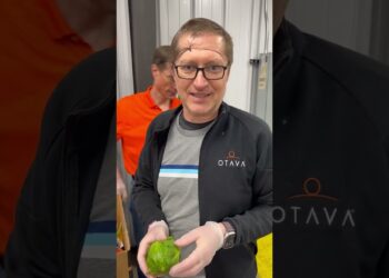 OTAVA in the Community: Food Gatherers