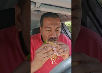 Seoul Chicken Sandwich Review