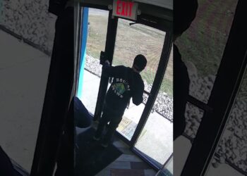 Hero dog runs to doggy day care to get help after his owner’s car was hit #shorts
