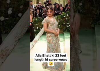 alia bhatt met Gala 2024 #viral #annaball #song #metgala