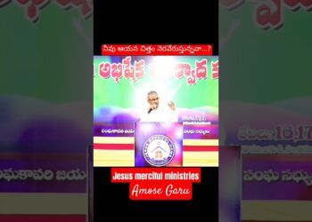 నీవు ఆయన చిత్తం నెరవేరుస్తున్నవా…?|Telugu Christian Message JESUS MERCIFUL MINISTRIES|#viral short
