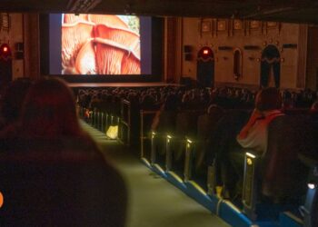 63rd Ann Arbor Film Festival spotlights experimental films from international and local filmmakers