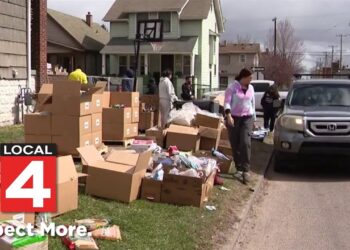 Go 4 It: Woman leads community support efforts through 'Detroiters Helping Each Other'