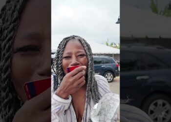 Veg Fest Detroit || Mom Review