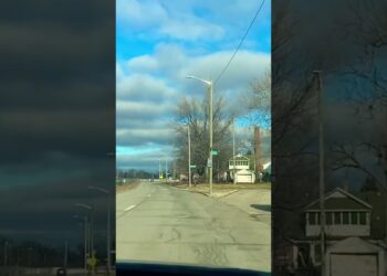 Road to Warren.Michigan,USA🇺🇸 #michigan #usa #warren #detroit #nature #travel