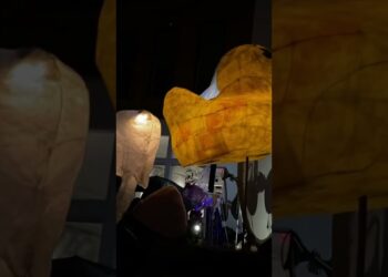 FoolMoon & FestiFools Ann Arbor with dancing duck❣️