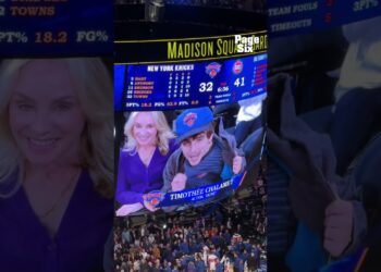 Timothée Chalamet is sitting courtside to watch the Knicks take on the Pistons at MSG 👀🏀 #shorts