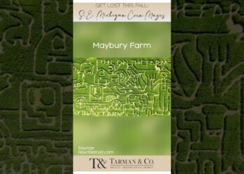 Get lost in these corn mazes this fall! #shorts #michigan #semi