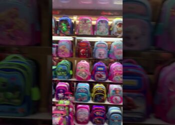 China Imports & Exports – School Bags