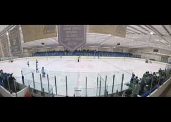 goal vs canton