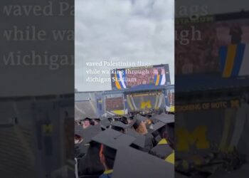Pro-Palestinian protesters disrupt ceremony at Michigan Stadium | DW Shorts