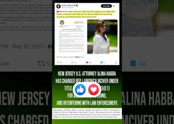 Alina Habba Has Charged Activist Democrat Rep. Lamonica Mclver For Assault And Other Charges