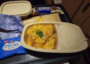 Delta Airlines Food Review | Japan to Detroit Flight Meal Experience