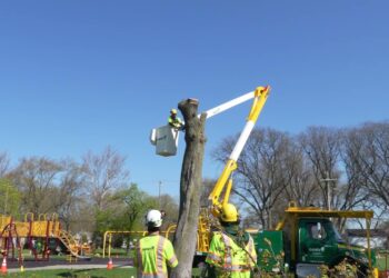 Detroit Milan Park GreenCare for Communities Project – Phase 1