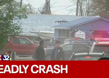 2 children dead after woman crashes through wall at birthday party in Michigan